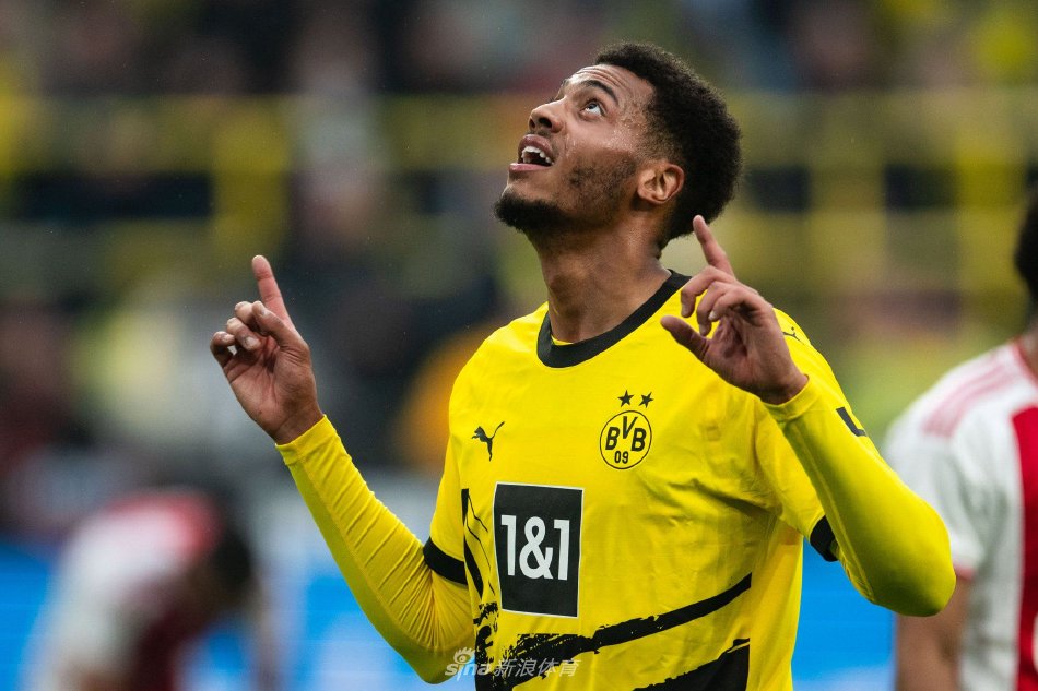 红牛车队的 红牛车队的